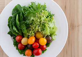 無農薬で育った新鮮野菜