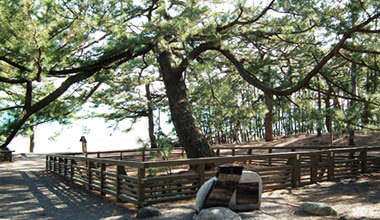 Miho no Matsubara world heritage site