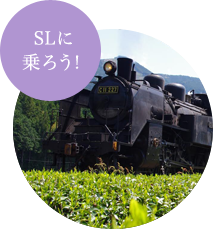 大井川鉄道[SL列車]