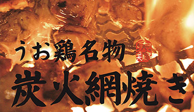Uo鸡
